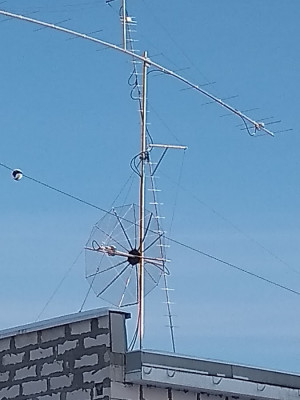 IMG_20180121_120438305.jpg
